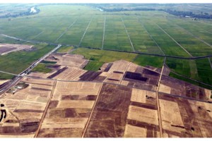 DSİ Genel Müdürü Yıldız: Trakya'da toplulaştırma çalışmaları sürüyor