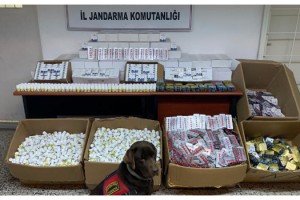 Edirne’de 72 bin cinsel uyarıcı hap ele geçirildi