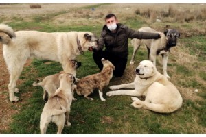 Köpeklerini tüfekle öldürdüğünü iddia ettiği komşusunu darbetti