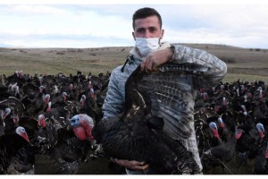 Koronavirüs, hindi satışlarını etkilemedi