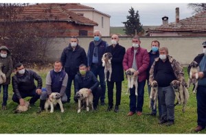 Kurt saldırılarına karşı sürüleri kangal köpekleri koruyacak