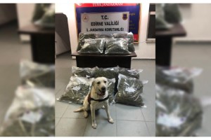 Edirne’de 4 milyonluk uyuşturucuyu narkotik köpeği ‘Taklit’ buldu