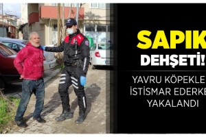 Edirne'de iğrenç olay! Yavru köpeklere cinsel istismar iddiasıyla gözaltına alındı