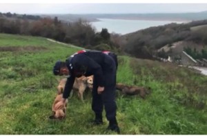Jandarmanın Çevre, Doğa ve Hayvanları Koruma Timi görevde