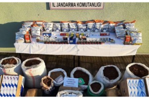 Kaçakçılık operasyonu: 2 gözaltı