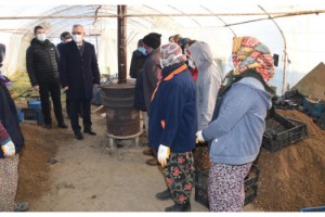 Keşan'daki seralarda kadınlar 750 bin çiçek üretti