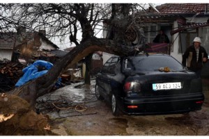 Şarköy’de fırtına ağaçları devirdi