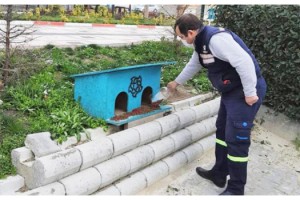 Süleymanpaşa'da sokak hayvanlarına yeni barınma alanları kuruluyor