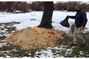 Yaban hayvanları için doğaya 2,5 ton yem bırakıldı