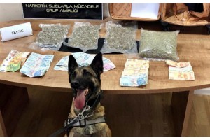 Bulgar plakalı otomobildeki uyuşturucuyu 'Larissa' buldu