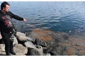 Marmara Denizi'ndeki deniz salyası balıkçıları vurdu