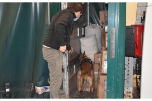 Bulgaristan'dan gelen TIR'da, 56 milyon lira değerinde uyuşturucu ve kaçak ürün ele geçirildi