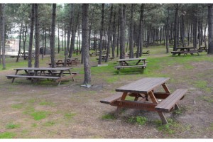 Enez’de mesire alanları kapatıldı