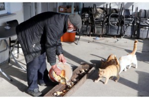 Pandemide kapanan kahvehanesini sokak hayvanlarına açtı
