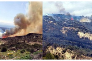 Şarköy'de makilik alanda yangın