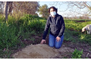 Tekirdağ'da hayvanseverin baktığı sokak köpekleri tüfekle vuruldu