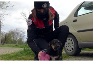 Tunca Nehri'ne atılan yavru köpeğe polis şefkati