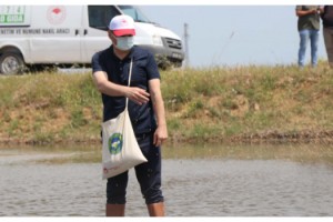 Çeltiğin yüzde 41'inin karşılandığı Edirne'de, damla sulama üretim başladı