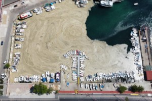 Tekirdağ'da deniz salyası nedeniyle balıkçılar denize açılamıyor