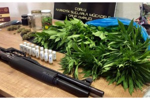 Tekirdağ'da Hint keneviri operasyonu: 5 gözaltı