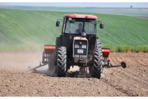 Üreticilerin tam kapanmada ayçiçeği ekimi mesaisi başladı