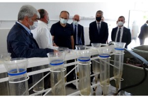 5 milyon kapasiteli İpsala Su Ürünleri İstasyonu'nda balık sağımı