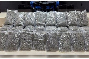 Hamzabeyli Sınır Kapısı'nda TIR'da 12 kilo esrar ele geçirildi: 3 tutuklama