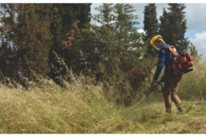 Keşan’da biçilen otlar hayvanlara besi olacak
