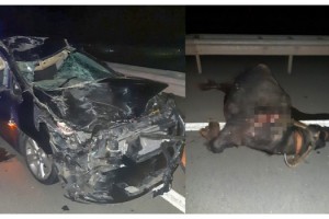 Mandaya çarpan otomobil hurdaya döndü; baba-kız yaralandı