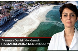 Marmara Denizi'nde yüzmek cilt hastalıklarına neden olur