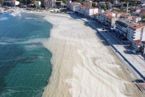 Marmara'da müsilajı 2 yılda parçalayarak bertaraf edebiliriz