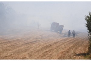 Orman yangınına neden oldu, 155 bin lira tazminat cezası verildi