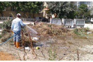 Saros Körfezi’nde uçkun ve larva ilaçlaması yapıldı