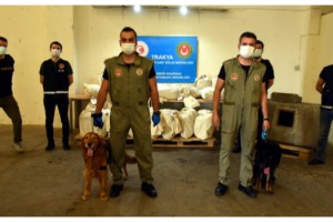 Sırbistan plakalı TIR'da 117 kilo esrar ele geçirildi