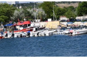 Tekirdağlı balıkçılar, deniz salyasından suya ağ atamıyor