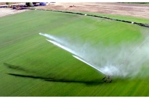 Trakya’da yeni sezonda 695 bin 720 dekar arazi sulanacak