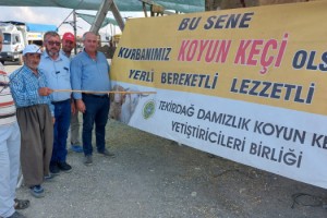 Başkan Toluca; Kurbanlarınızı Marketlerden Değil Üreticiden Alın!