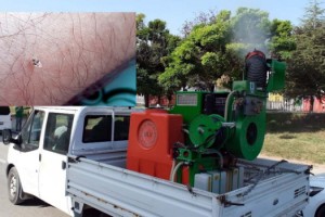 Edirne’de dantel böceğine karşı ilaçlama