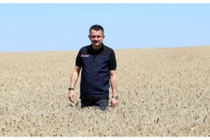 Kanola’nın Yüzde 50'sini Bakanlık Karşılayacak