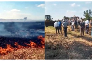 Kopan elektrik telleri tarlada yangın çıkardı