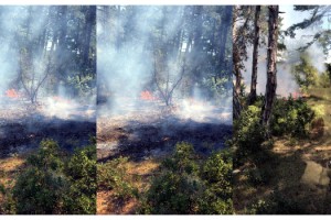 Malkara'daki orman yangınında sabotaj şüphesi