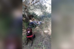 Tekirdağ'da kayıp kişinin cansız bedeni bulundu