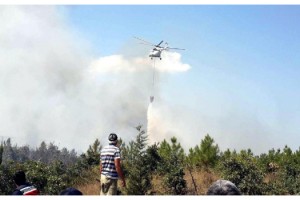 Enez'de ATV aracındaki yangın ormana sıçradı