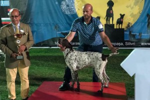 Malkaralı Köpek Eğitmeni Ozan Bora’ya Türkiye Şampiyonu Sertifikası