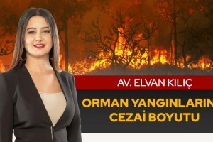 Orman Yangınlarının Cezai Boyutu