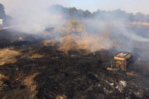 Otluk alanda çıkan yangın ormana sıçramadan söndürüldü