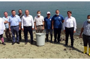 Tekirdağ'da 3 yılda göletlere 590 bin sazan yavrusu bırakıldı
