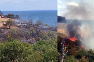 Tekirdağ'da makilik ve ağaçlık alanda yangını