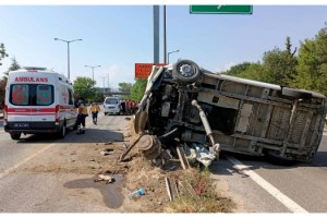 Kazada yaralanan yavru köpeğe kalp masajı