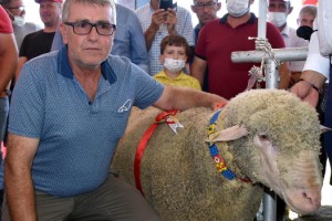 'Pehlivan', Tarım ve Teknoloji Fuarı'nda 'en güzel koç' seçildi